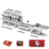 SKILT High-Speed Fruit Clamshell Top Surface Labeling Machine met meerdere invoerkanaalindelingen en automatische stapel- en verzamelapparaat
