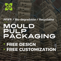 Plateau en pulpe moulée biodégradable sur mesure, boîte en pulpe de papier, insert en carton, emballage vert, solutions d'emballage durables
