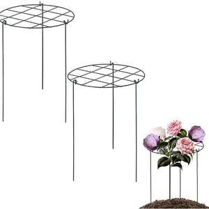 Support de <span class=keywords><strong>plante</strong></span> verte de jardinage de vigne d'escalade créative 30x40cm support de fleur d'hortensia de cadre d'escalade de <span class=keywords><strong>plante</strong></span> de fer de Rose - Product Image 1