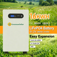 Batterie solaire Lifepo4 basse tension Greensun avec garantie de 10 ans, 51,2 V, 200 Ah, 314 Ah, 16 kWh, 20 kWh, 30 kWh pour système d'énergie solaire