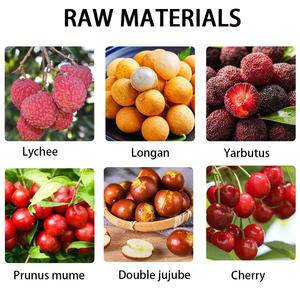 Nueva Máquina Comercial para Deshuesar Cerezas con Función de Deshuesado de Frutas a Bajo Precio - Product Image 5