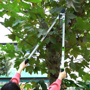 Outdoor Long Handle Trimmer with Comfortable Grip SK5 Blade Rubber Tree Branch <strong>Pruner</strong> for DIY Projects - Product Image 4