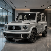 Nouveau mini SUV électrique à énergie nouvelle, apparence robuste, batterie longue portée pour le transport personnel des adultes