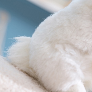 Classico <span class=keywords><strong>Coniglio</strong></span> <span class=keywords><strong>Bianco</strong></span> Realistico in <span class=keywords><strong>Peluche</strong></span> di Poliestere con Orecchie Rosa e Occhi Neri - Regalo di Compleanno per Bambini - Product Image 4