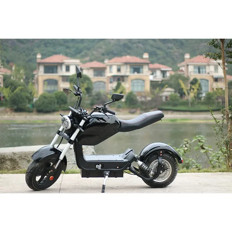 2019 2020 CE EWG COC elektrische motorrad fett reifen M3 Citycoco roller 1500W 2000W erwachsene motorrad