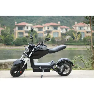 2019 2020 CE EEC COC elektrikli motosiklet yağ lastik M3 Citycoco scooter 1500W 2000W yetişkin motosiklet