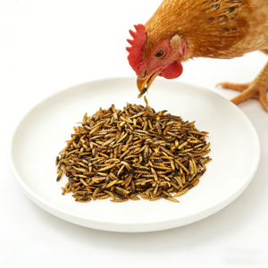 有機高タンパク質小型動物・鳥用フード BSFL乾燥ブラックソルジャーフライ幼虫おやつ - Product Image 6