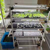 Culture hydroponique de cube de laine de roche d'utilisation d'agriculture pour la laitue/ferme d'ensemencement de pépinière