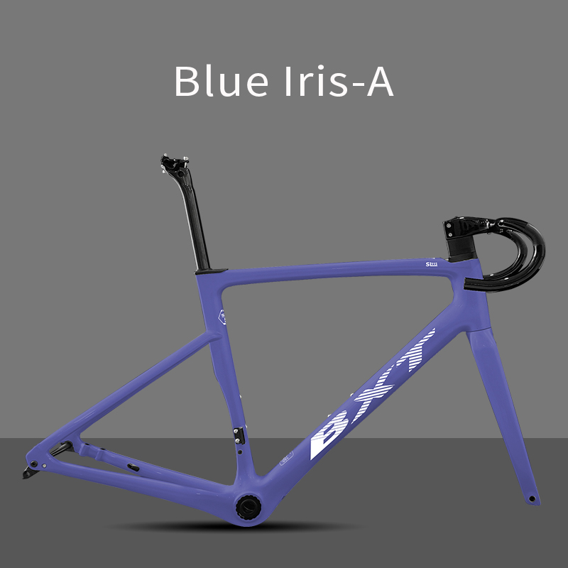 BXT Blue lris-A
