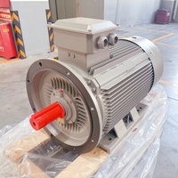 Moteur électrique 90 kW/440 kW à bobine, 3000 tr/min, sans balais, 2 pôles, avec chauffage par induction, pour machine à grignoter les graines et cage à ardillons