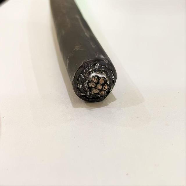 Customized RS485 Signal Control Cable 120Ω Twisted Pair Shielded Tinned Copper Data Transmission Instrument Cable