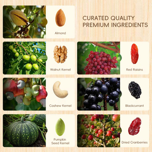 OEM ODM Cesta de Regalo de Nueces Mixtas Fritas Dulces para las Fiestas, Bajo MOQ, Envío Rápido, con Certificación Completa de Exportación de Alimentos - Product Image 2