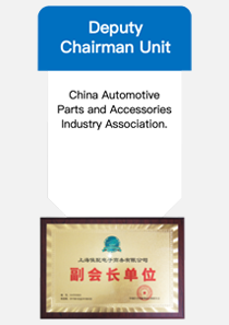 Tesla 1051495-00-A/1051496-00-A için LinTech ön silecek bıçakları LT-202500006 - Product Image 5