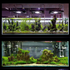 35 gallon bể cá không Khung siêu rõ ràng-Văn phòng thủy tinh pha lê/bể cá gia đình để nhân giống san hô & cảnh quan thủy sản - Product Image 6