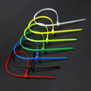 جودة عالية مخصصة قفل قياسي أدوات الربط مع ربطة عنق من النايلون 66 ربطة عنق بسحاب - Product Image 6