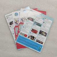 Folleto de papel impreso personalizado, manual, Folleto