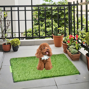 Tapis d'entraînement intérieur intelligent Plateau de gazon artificiel vert Tapis de fournitures de <span class=keywords><strong>pipi</strong></span> pour chats chiens Sacs de <span class=keywords><strong>caca</strong></span> inclus Siège de toilette intelligent pour animaux de compagnie - Product Image 2