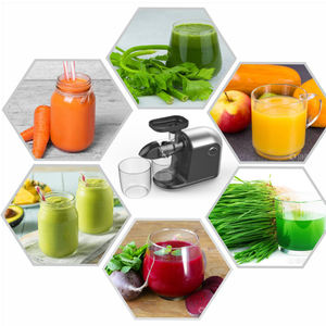 Machine à mastication électrique Portable, extracteur de jus, à pression froide, pour usage domestique, Design Horizontal, basse vitesse - Product Image 6