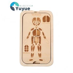Puzzle anatomique <span class=keywords><strong>du</strong></span> <span class=keywords><strong>corps</strong></span> <span class=keywords><strong>humain</strong></span> en bois à 4 couches, squelette, muscles, organes, jouet éducatif cognitif pour l'éveil précoce des enfants - Product Image 1