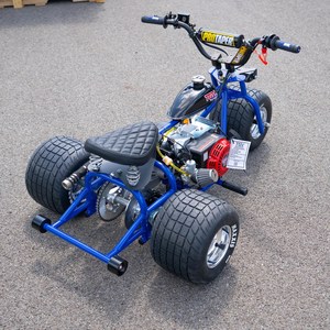 Scooter Motorizado de 3 Ruedas Premium Tvg, Abierto para Pasajeros, Conducción Suave, Alto Rendimiento, 800W 60V, Mini Trike 250cc+, Rápido - Product Image 2