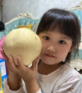 Singo Pear Ya Pear Golden Pear Crown Pear Fuji Apple From Guanixian Shandong China