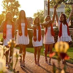 Sciarpa di laurea personalizzata 2023 di alta qualità in tessuto satinato personalizzato Logo stampato giudice Costume per primavera foglia di Argyle - Product Image 6