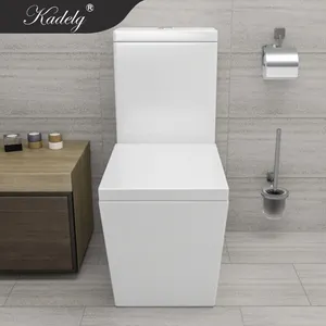 Economy Glaze 3/6L Europe Standard Dual Flush One Piece Toilet Bowls Sanitary Ware