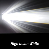Phare auxiliaire LED pour moto, style Water Bird, lampe simple, double faisceau, lentille externe, projecteur