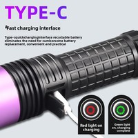 Lampe torche UV à lumière violette haute puissance 60W, vente en gros, détection de fluorescence des bijoux, anti-contrefaçon, détection de taches d'huile