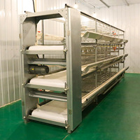 Système d'alimentation automatique pour l'élevage de poulets de chair et de poules pondeuses en cages