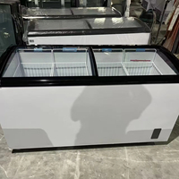 Congelador Horizontal de Una Sola Temperatura con Enfriamiento Directo y Tapa de Vidrio para Helados