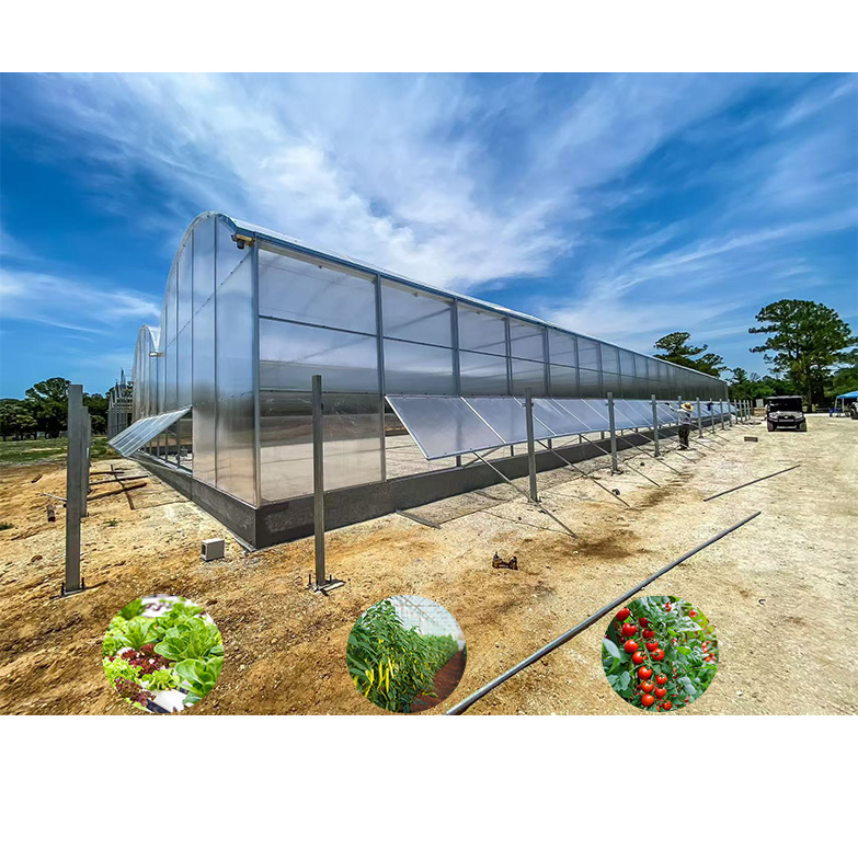 Hot Products Large Polycarbonate Sheet Tower Greenhouse Multi-Span Agricultural Greenhouses with Indoor Hydroponic Systems