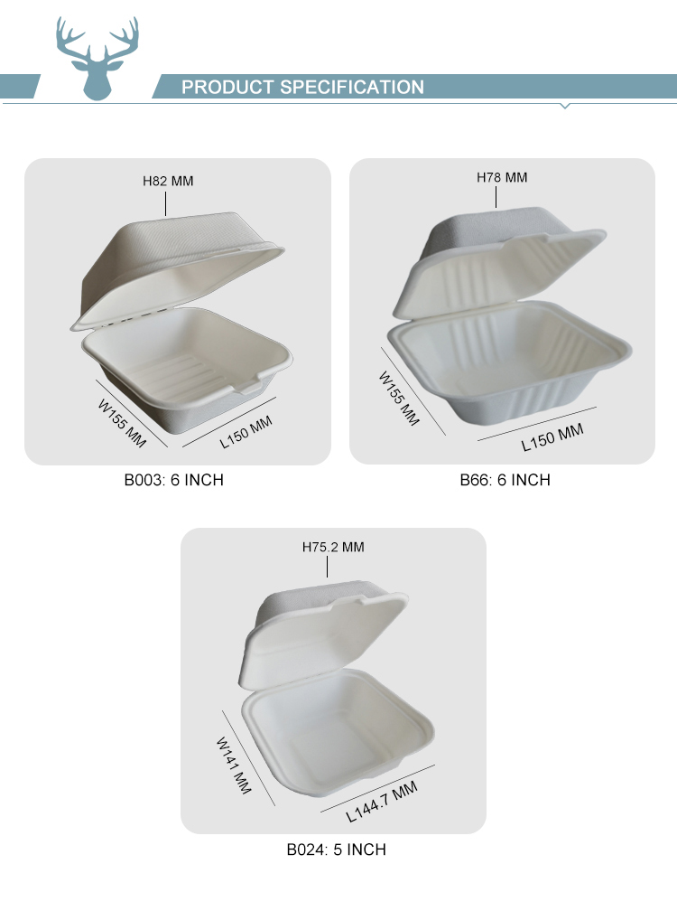 Scatola Burger Bioali 152x152x44/75 Mm - Biodegradabile In Canna Da Zucchero, Eco-Friendly - Foto 2