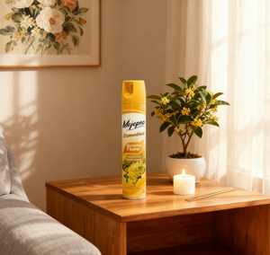 <span class=keywords><strong>Deodorante</strong></span> Spray <span class=keywords><strong>per</strong></span> <span class=keywords><strong>Ambienti</strong></span> a Lunga Durata 300ML, Cura Domestica <span class=keywords><strong>per</strong></span> Interni, Direttamente dalla Fabbrica - Adatto <span class=keywords><strong>per</strong></span> Casa, Camere da Letto, Hotel, Auto - Product Image 3