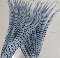 Plumes de faisan zébré artificielles de 50-180 cm, teintes, accessoires vestimentaires pour costumes de danse