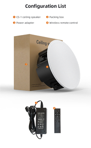 Hifi Hoạt Động Không Dây Trong Loa Trần Màu Xanh Răng Multiroom Wifi2.4 & 5G Khuếch Đại Thông Minh Tường Loa Cho Rạp Hát Tại Nhà Hệ Thống - Product Image 6