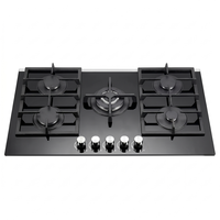 Cuisinière multifonctionnelle professionnelle en fonte, encastrable, électrique, à gaz, manuelle, à piles, à cinq brûleurs, avec surface en verre, ignifuge