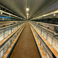 Controlador LED de Atenuación Automática para Granjas Avícolas, con Brillo Ajustable de 0-100% y Atenuación Extremadamente Precisa