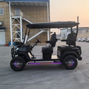 Voiturette de golf électrique de luxe avec éclairage LED décoratif pour le transport de groupes dans les zones touristiques - Product Image 2