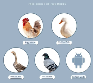 היען 500 מיני 500 דגים מלאים 500 500 עוף 500 סולארי עוף סולארי אוטומטי - Product Image 4