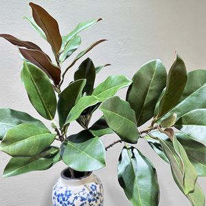 Feuilles de Magnolia Artificielles Meng Jie 30cm-100cm en PVC Vert pour Décoration d'Intérieur et Fleurs de Vase - Product Image 4