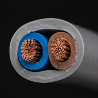 Câble RVV 2 conducteurs 0,5 mm² souple, gaine isolante en PVC, fil électrique en cuivre pour câblage électrique intérieur, système d'éclairage