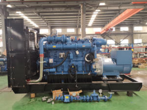 625kw 781.25kva ओपन फ्रेम Lpg अल्टरनेटर तीन चरण 400v 60hz 1500 आरपीएम डीसी एवीर - Product Image 2