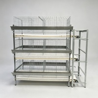 Cage à poules pondeuses semi-automatique galvanisée multi-niveaux pour l'élevage de poulets, avec système de nettoyage du fumier chaud et froid
