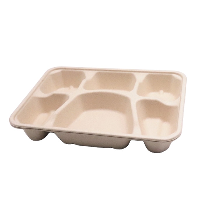 Embalaje desechable biodegradable para comida rápida, 5 compartimentos, bandeja para comida, almuerzo, catering, caja con tapa