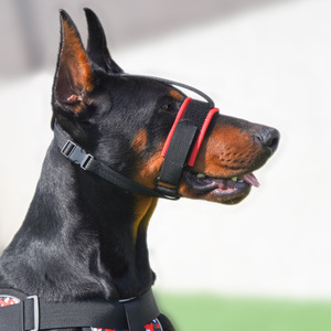 NUEVO Bozal para Perro Anti-mordidas y Anti-ingestión, Transpirable, Ajustable, para Mascotas - Product Image 5
