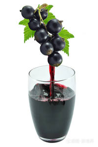 Bubuk ekstrak jus Blackcurrant organik kelas atas makanan bubuk buah Blackcurrant alami Drum ekstraksi - Product Image 3