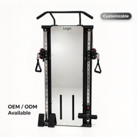 Appareil de musculation mural personnalisable avec fonction de gainage, gain de place et caractéristiques réglables pour usage domestique et commercial