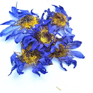 Nova colete natural premium azul lotus flores seca azul flor de lótus para chá