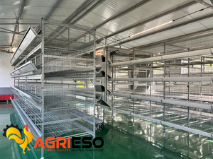 Sistema Automático de Jaulas para Gallinas Ponedoras para Granjas Avícolas con Sistema de Alimentación, Recolección de <span class=keywords><strong>Huevos</strong></span> <span class=keywords><strong>y</strong></span> Eliminación de Estiércol - Product Image 6